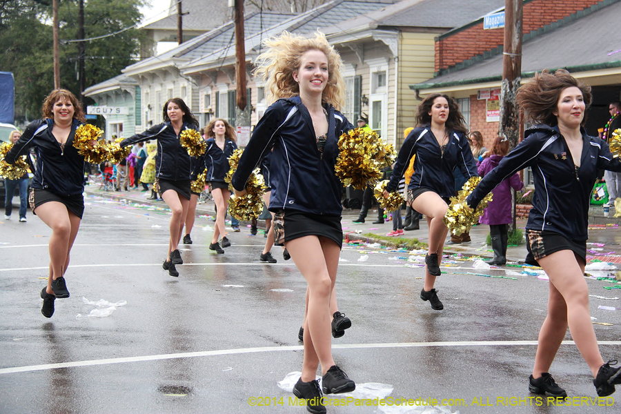 2014-Krewe-of-Alla-11160