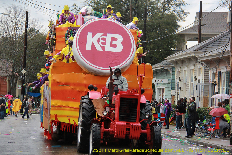 2014-Krewe-of-Alla-11162