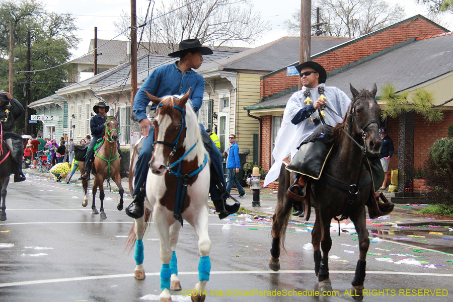 2014-Krewe-of-Alla-11171