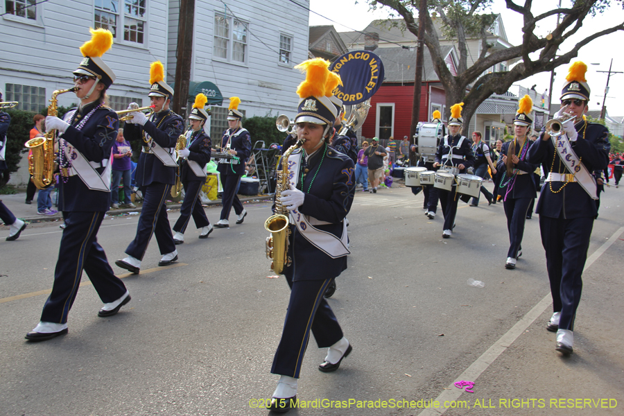 Krewe-of-Allar-2015-12558