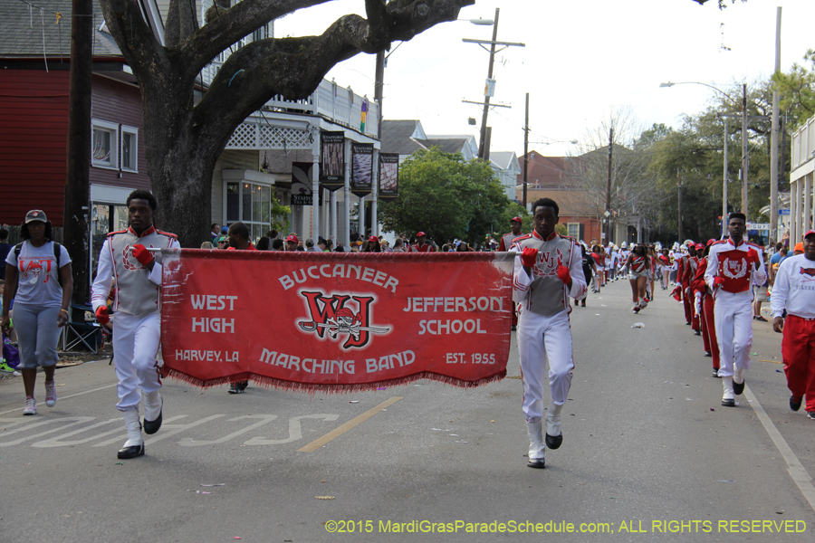 Krewe-of-Allar-2015-12574