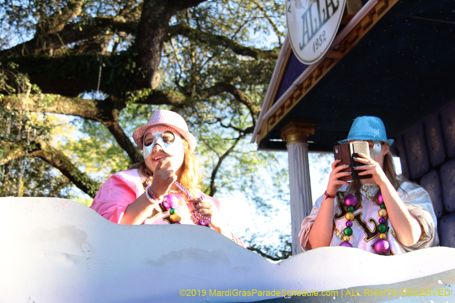 Krewe-of-Alla-2019-003786