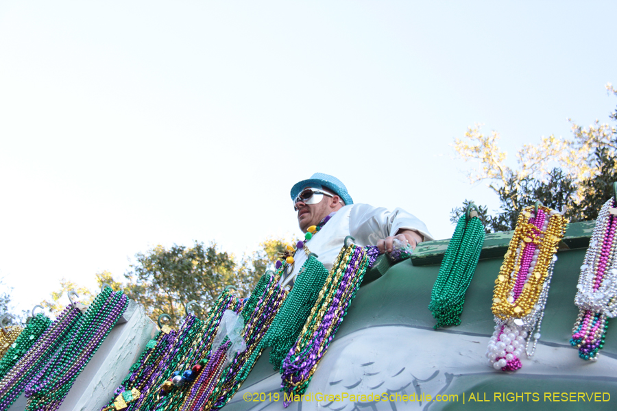 Krewe-of-Alla-2019-003864