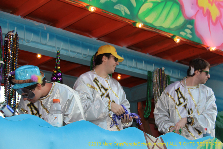 Krewe-of-Alla-2019-003939