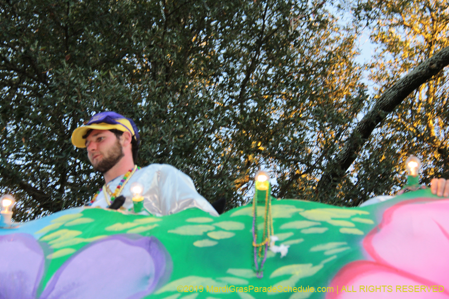 Krewe-of-Alla-2019-003941