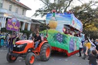 Krewe-of-Alla-2019-003921