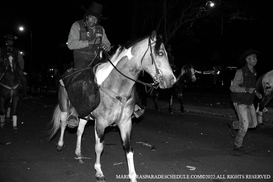 Krewe-of-Alla-00203-2022