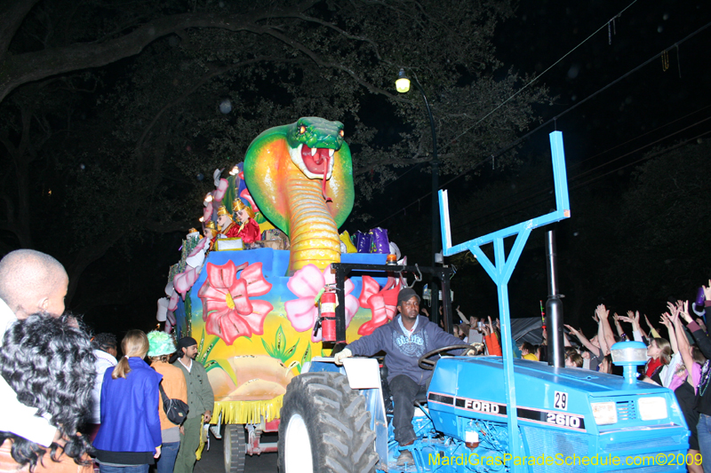 Knights-of-Babylon-2009-Mardi-Gras-New-Orleans-0097