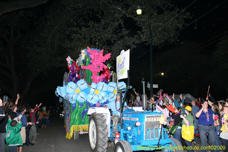 Knights-of-Babylon-2009-Mardi-Gras-New-Orleans-0102