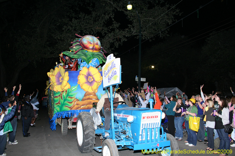 Knights-of-Babylon-2009-Mardi-Gras-New-Orleans-0129