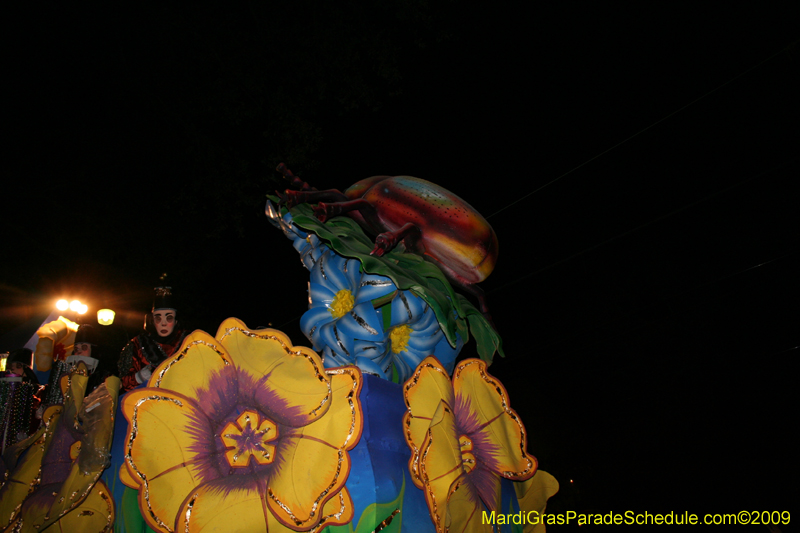 Knights-of-Babylon-2009-Mardi-Gras-New-Orleans-0130