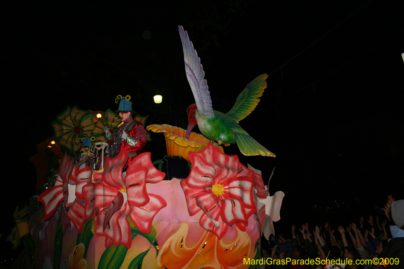 Knights-of-Babylon-2009-Mardi-Gras-New-Orleans-0170