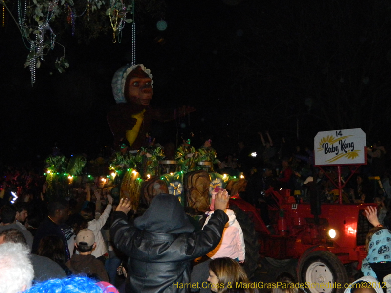 Krewe-of-Bacchus-HC-2012-0156