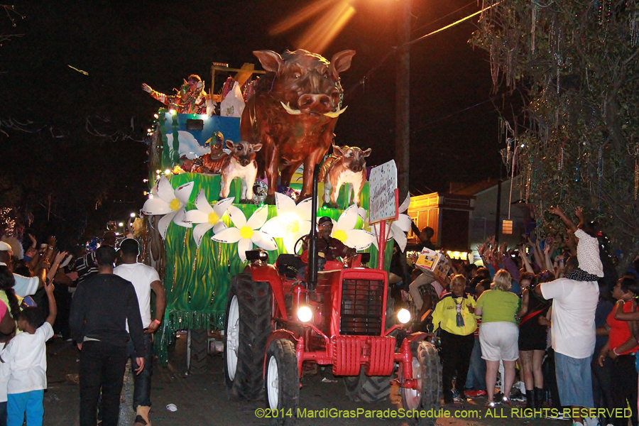 2014-Krewe-of-Bacchus-11179