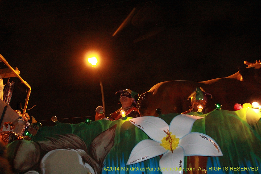 2014-Krewe-of-Bacchus-11181