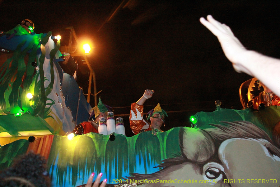 2014-Krewe-of-Bacchus-11182