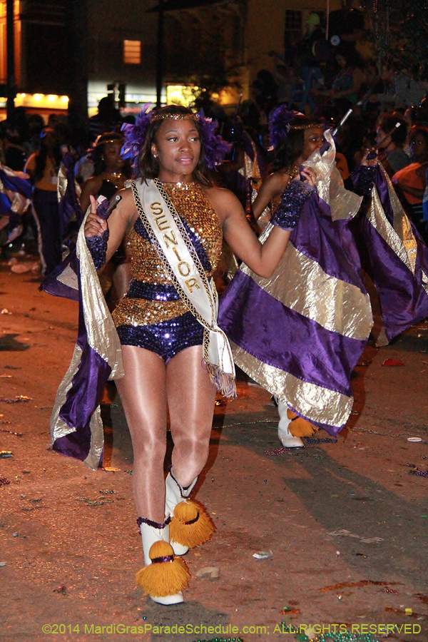 2014-Krewe-of-Bacchus-11200