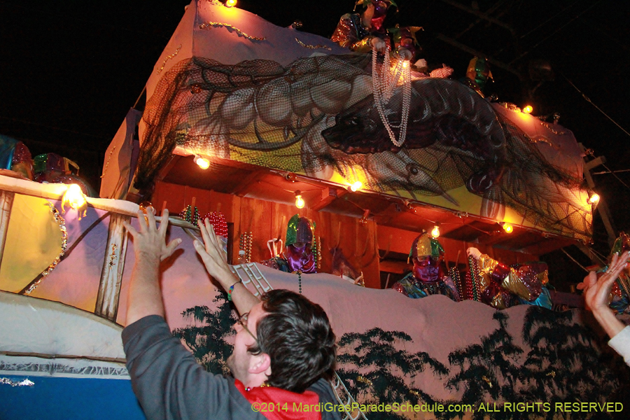 2014-Krewe-of-Bacchus-11242