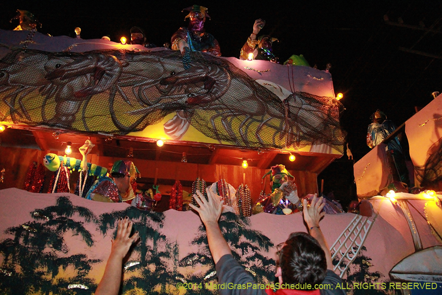 2014-Krewe-of-Bacchus-11244