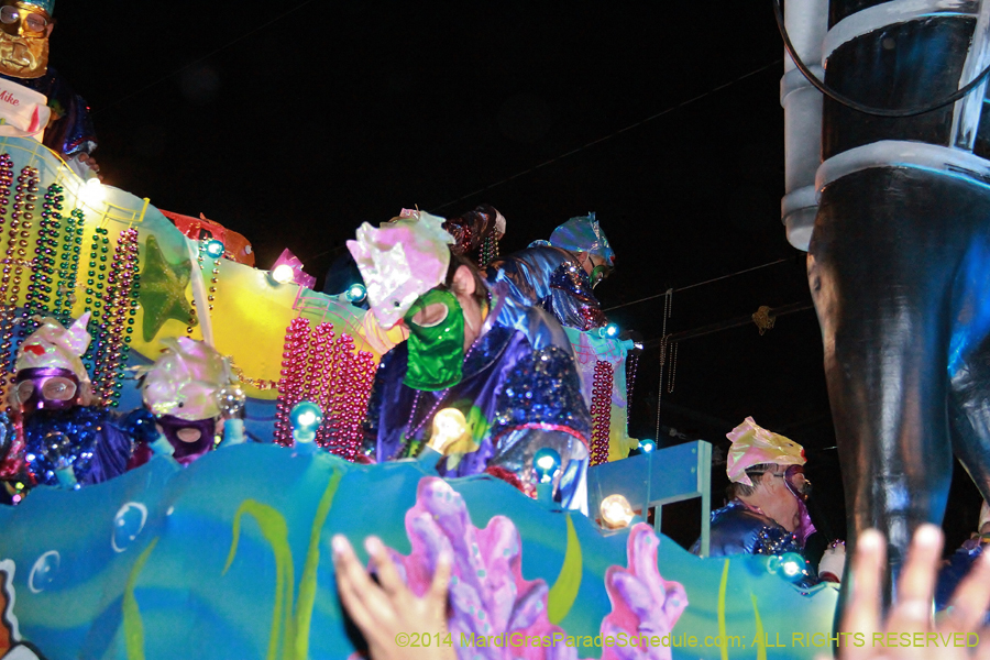 2014-Krewe-of-Bacchus-11253