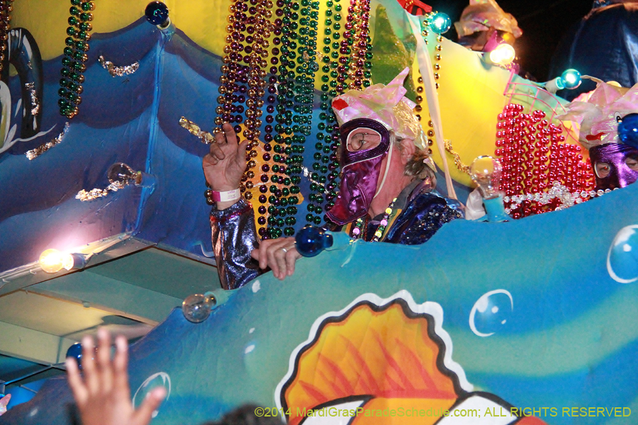 2014-Krewe-of-Bacchus-11255