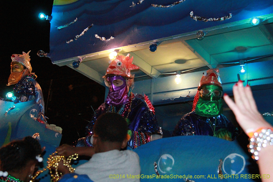 2014-Krewe-of-Bacchus-11259