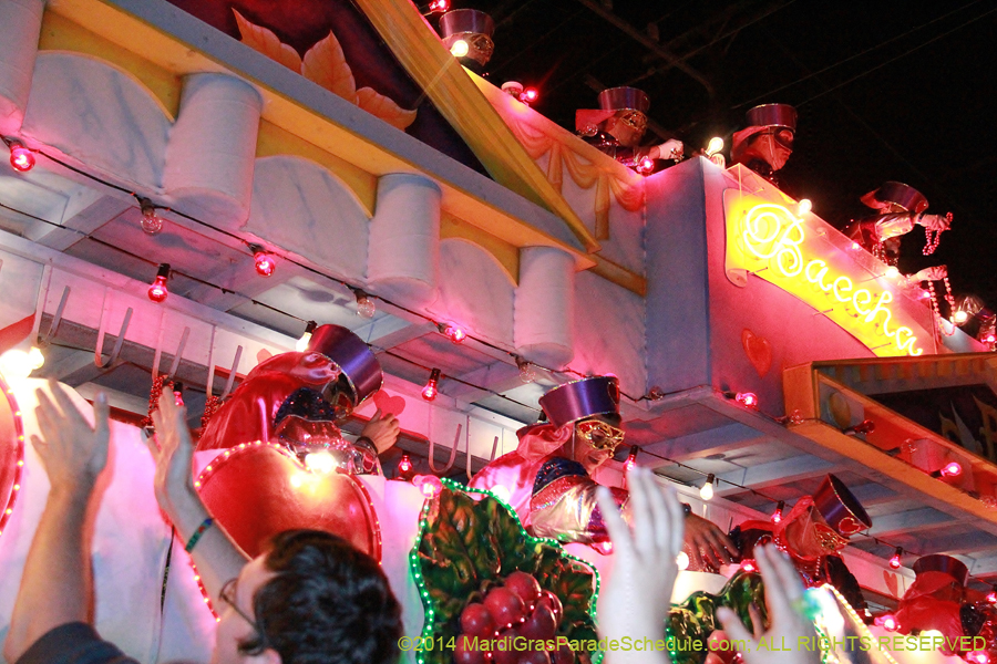 2014-Krewe-of-Bacchus-11280