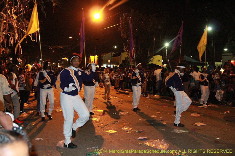 2014-Krewe-of-Bacchus-11294