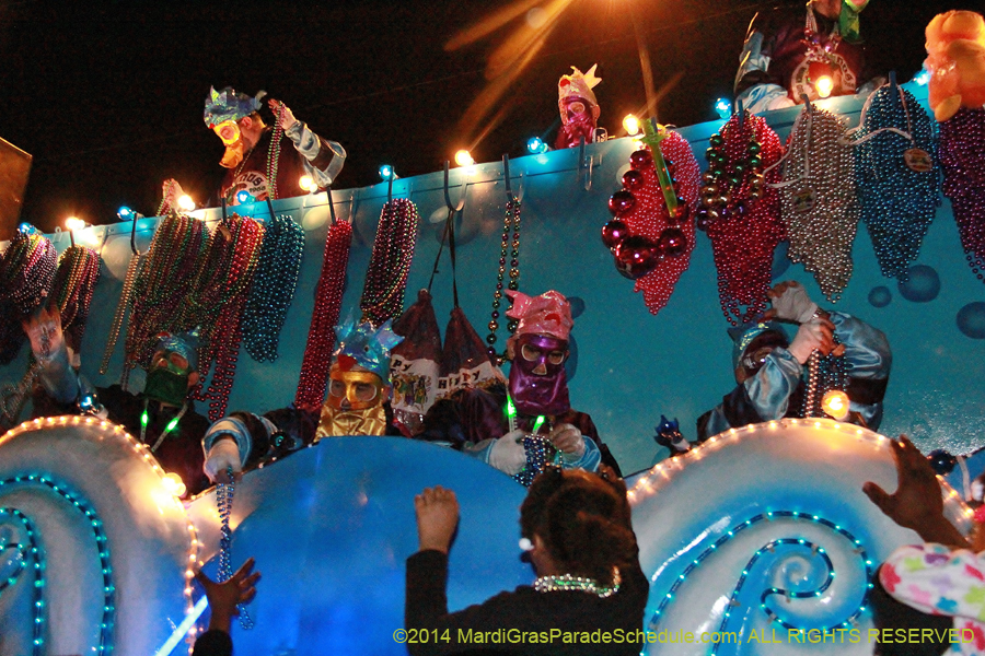 2014-Krewe-of-Bacchus-11306