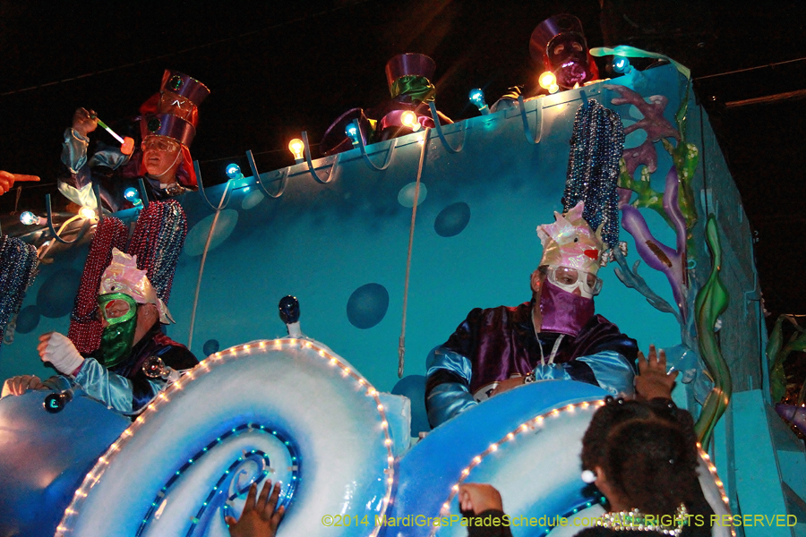 2014-Krewe-of-Bacchus-11309