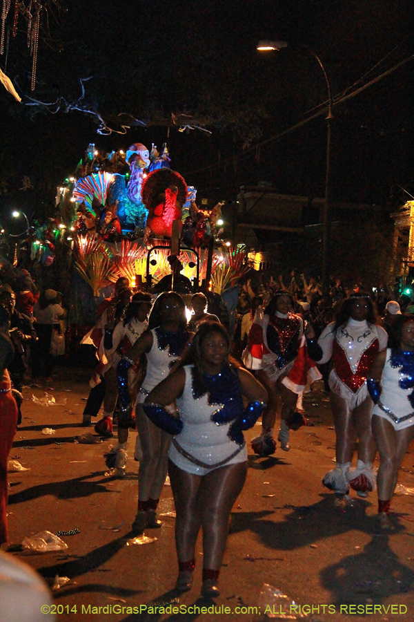 2014-Krewe-of-Bacchus-11320