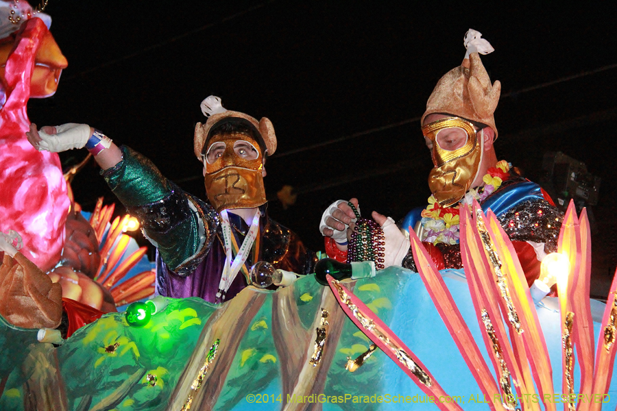 2014-Krewe-of-Bacchus-11323