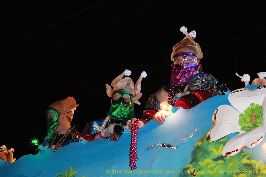 2014-Krewe-of-Bacchus-11325