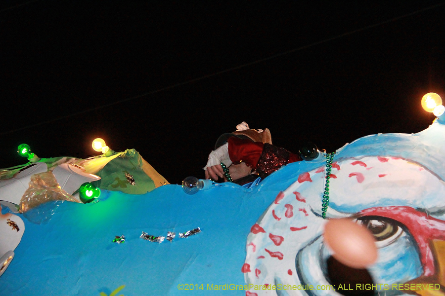 2014-Krewe-of-Bacchus-11328