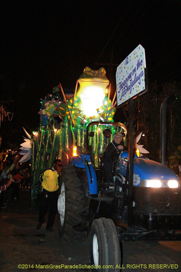 2014-Krewe-of-Bacchus-11361