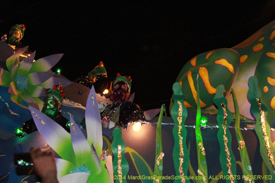 2014-Krewe-of-Bacchus-11363