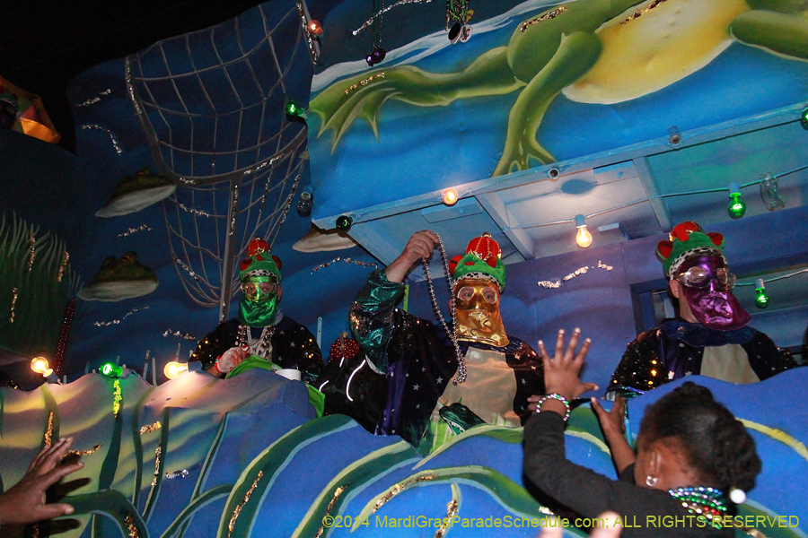 2014-Krewe-of-Bacchus-11365