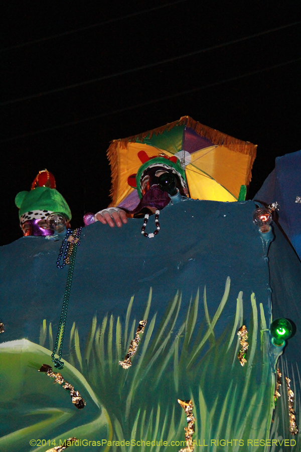 2014-Krewe-of-Bacchus-11373