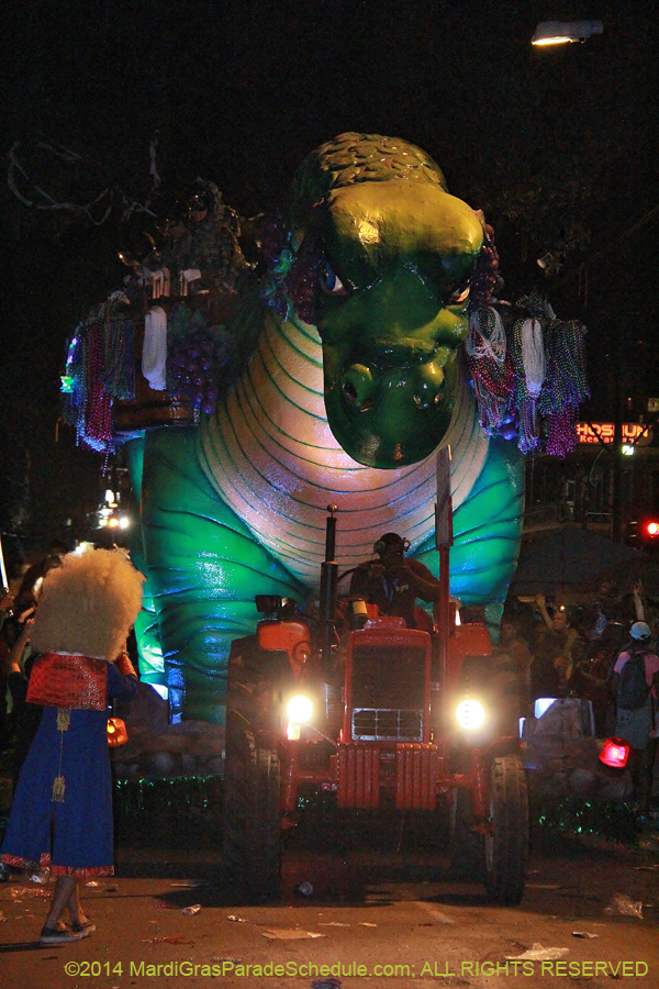 2014-Krewe-of-Bacchus-11383