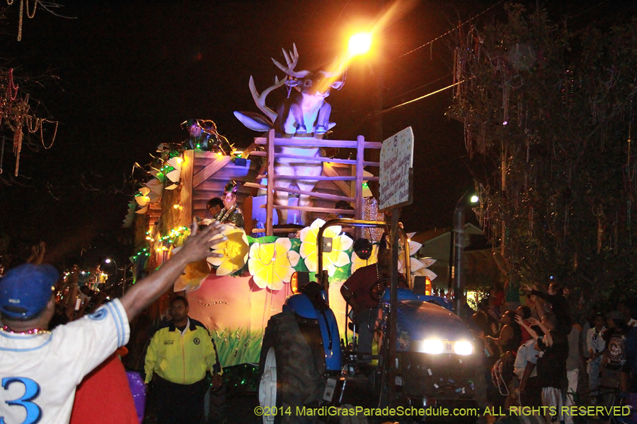 2014-Krewe-of-Bacchus-11427