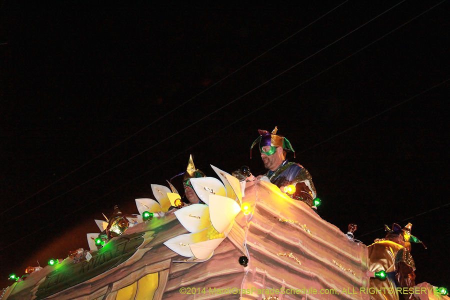 2014-Krewe-of-Bacchus-11430