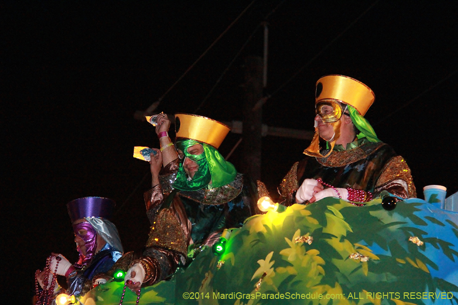 2014-Krewe-of-Bacchus-11438