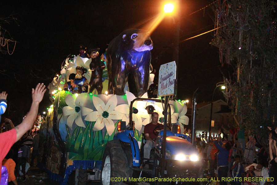 2014-Krewe-of-Bacchus-11458