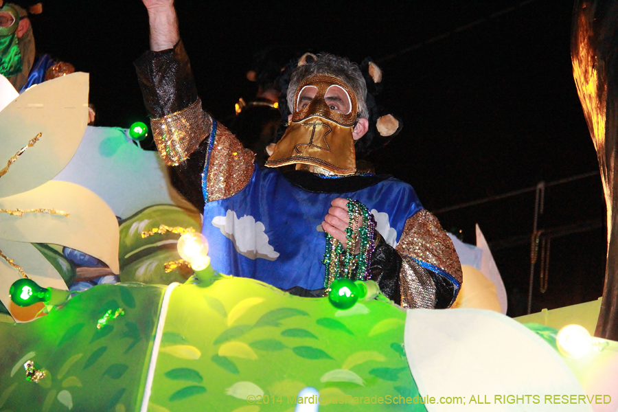 2014-Krewe-of-Bacchus-11460