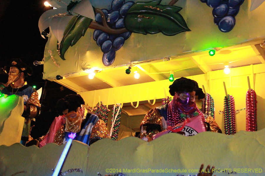 2014-Krewe-of-Bacchus-11462