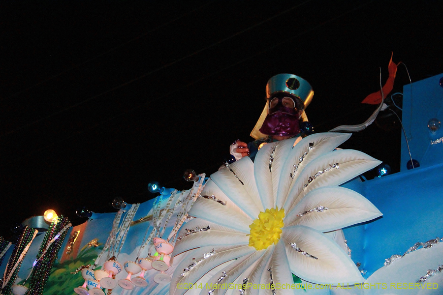 2014-Krewe-of-Bacchus-11474