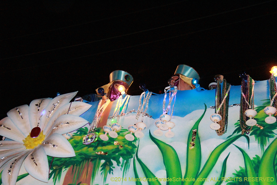 2014-Krewe-of-Bacchus-11477