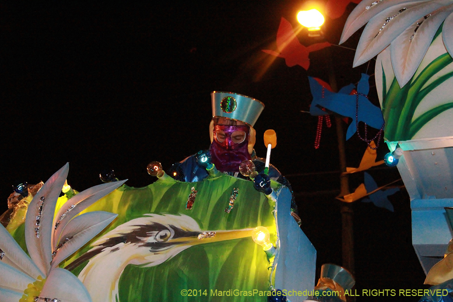 2014-Krewe-of-Bacchus-11479