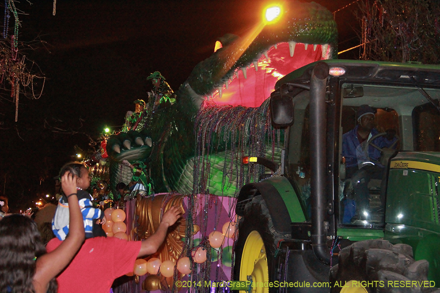 2014-Krewe-of-Bacchus-11484