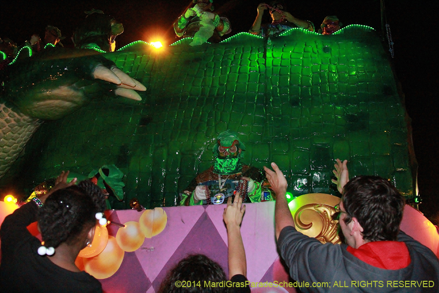 2014-Krewe-of-Bacchus-11495